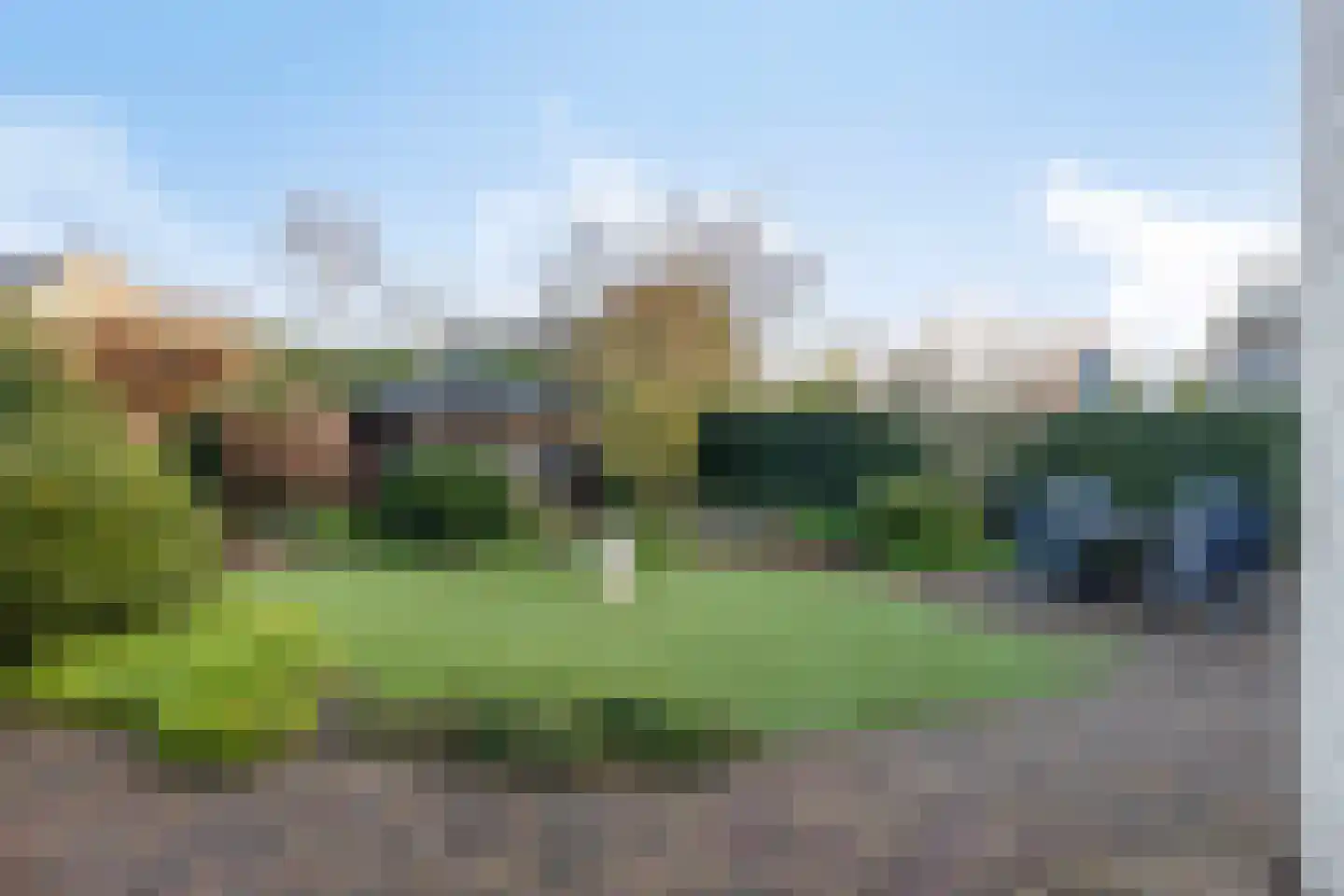 Vliegezwam 3 Veenendaal thumbnail 5