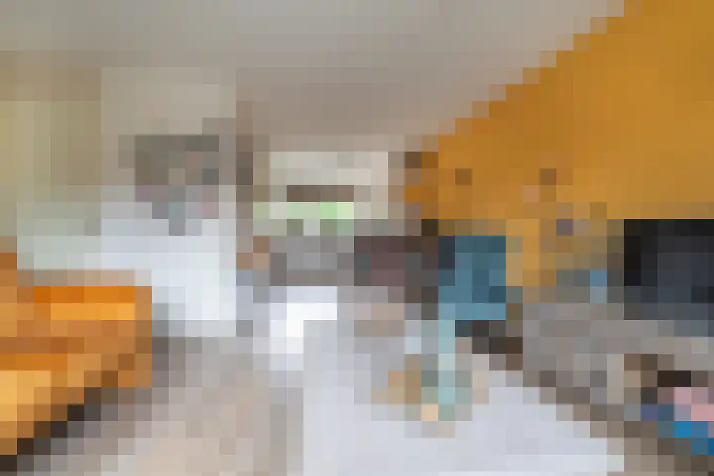Vliegezwam 96 Veenendaal thumbnail 10