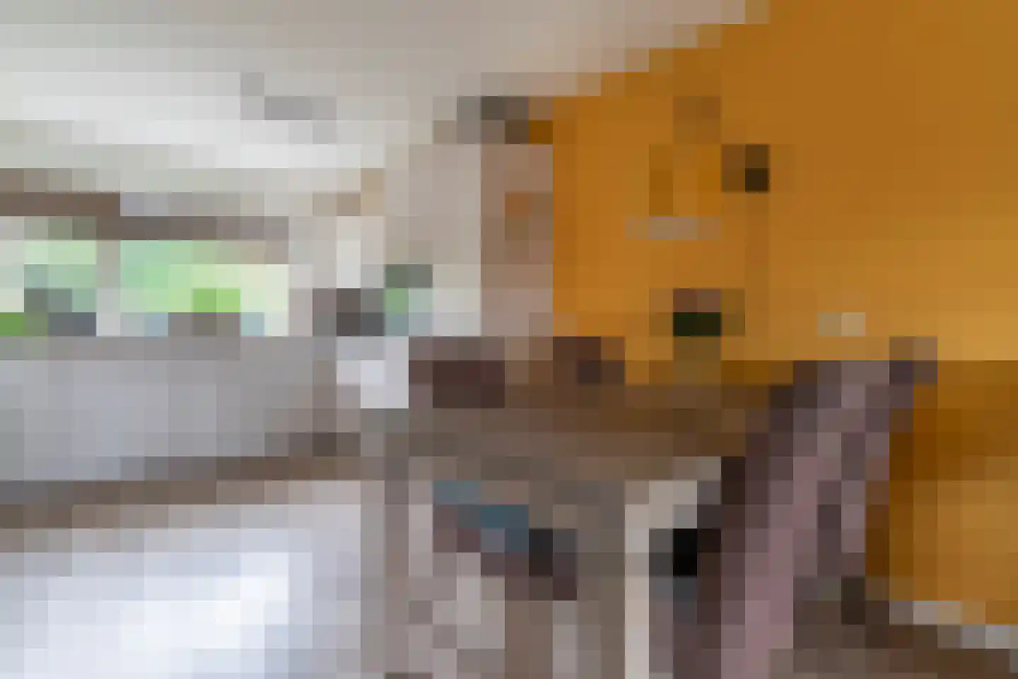 Vliegezwam 96 Veenendaal thumbnail 11