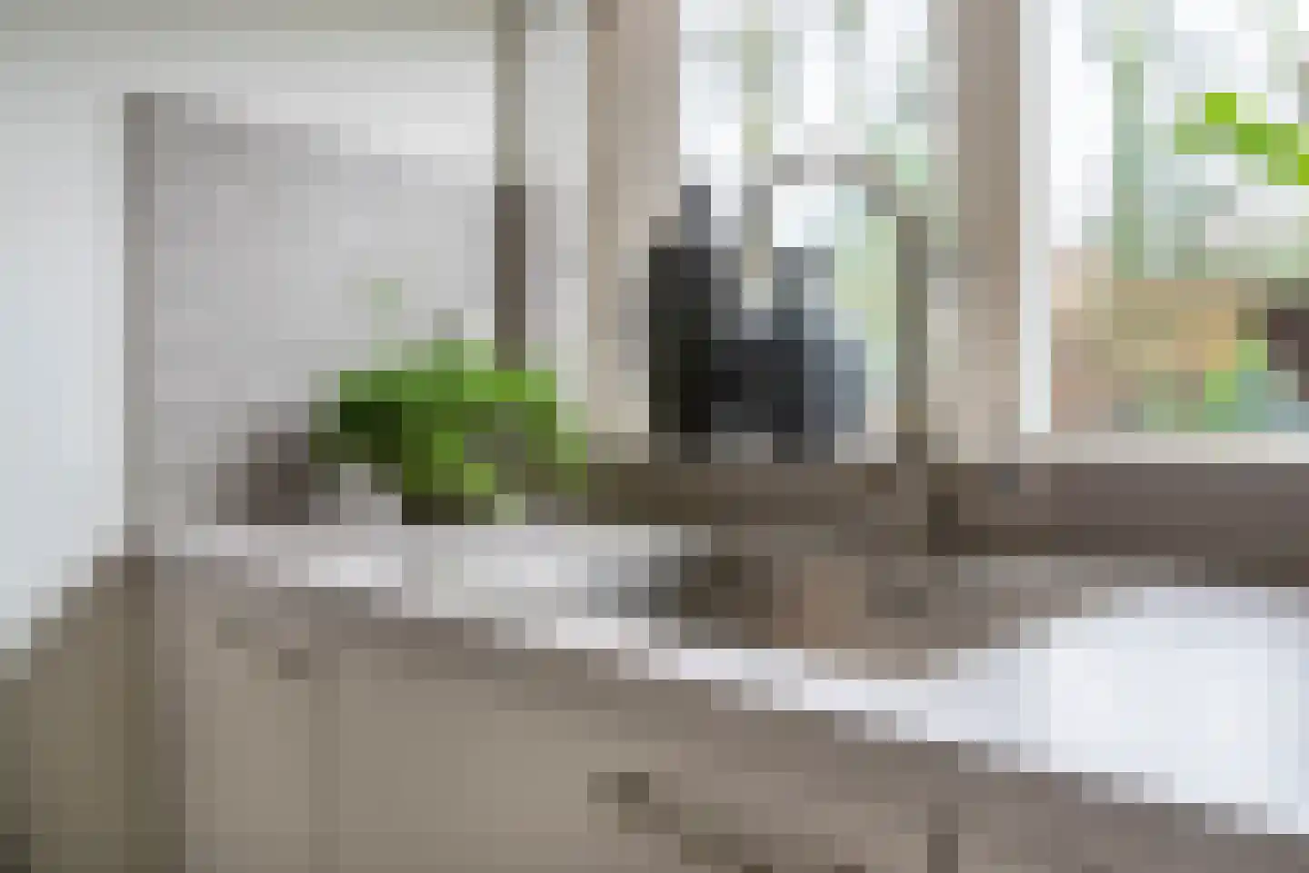 Vliegezwam 96 Veenendaal thumbnail 13