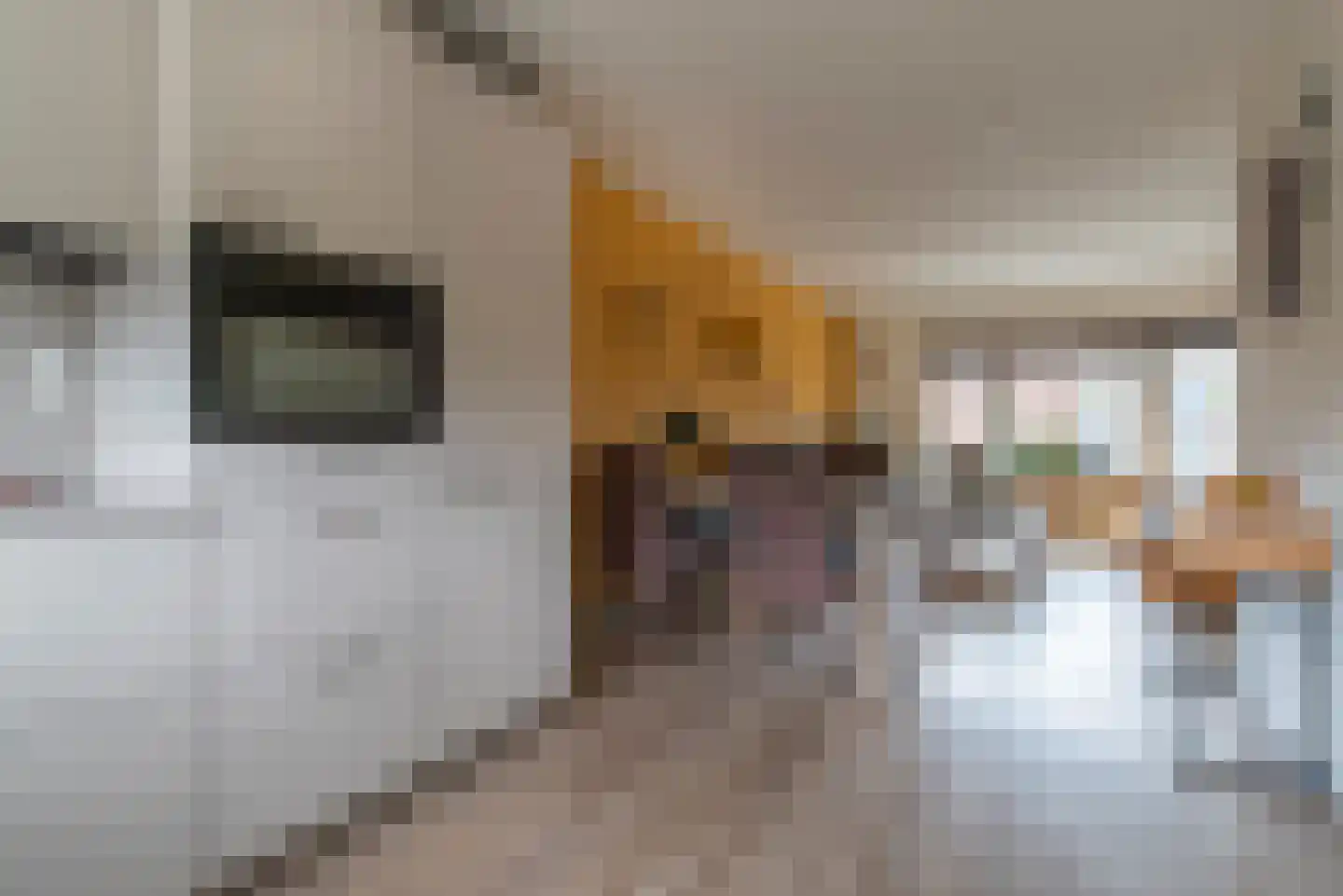 Vliegezwam 96 Veenendaal thumbnail 14