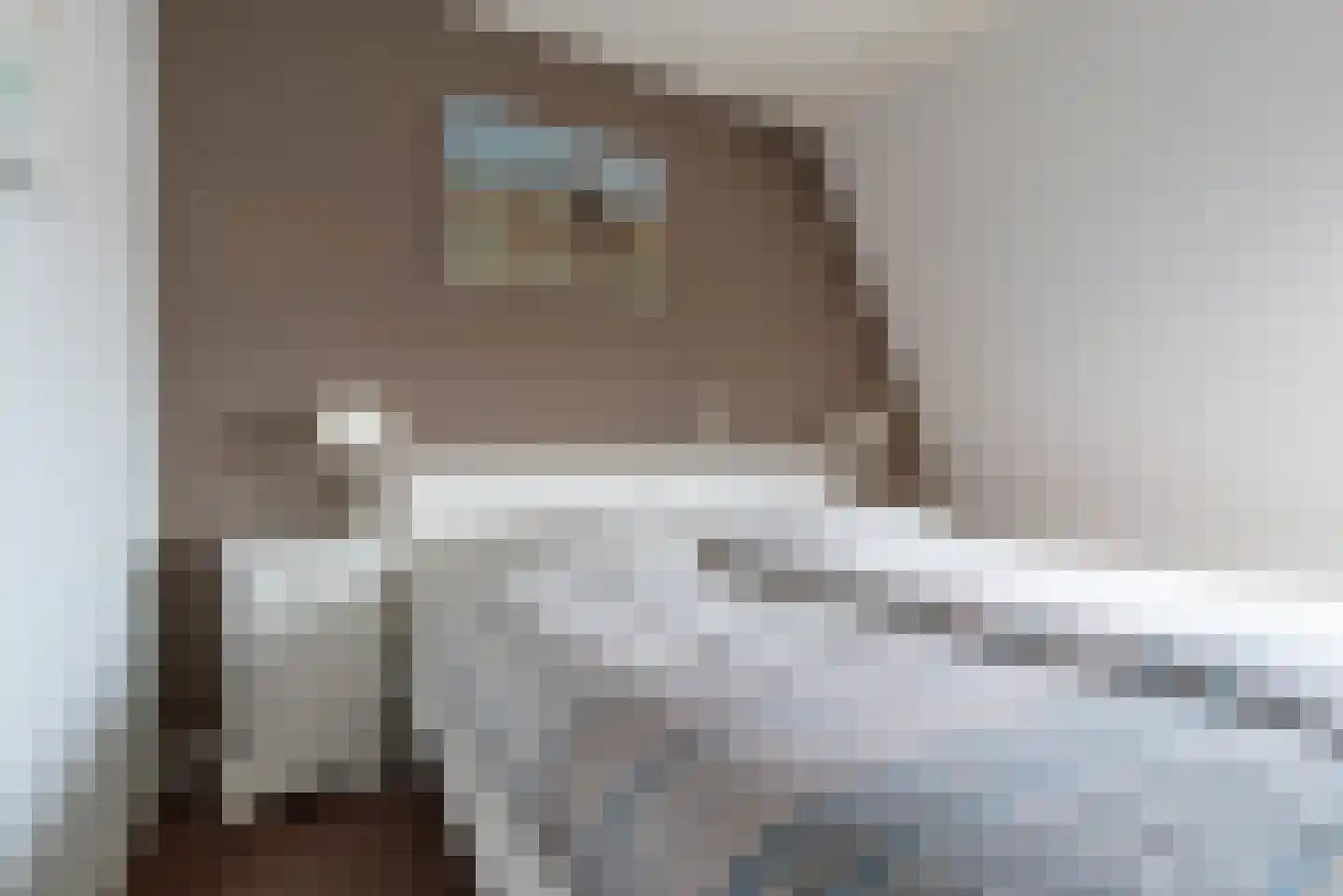 Vliegezwam 96 Veenendaal thumbnail 18