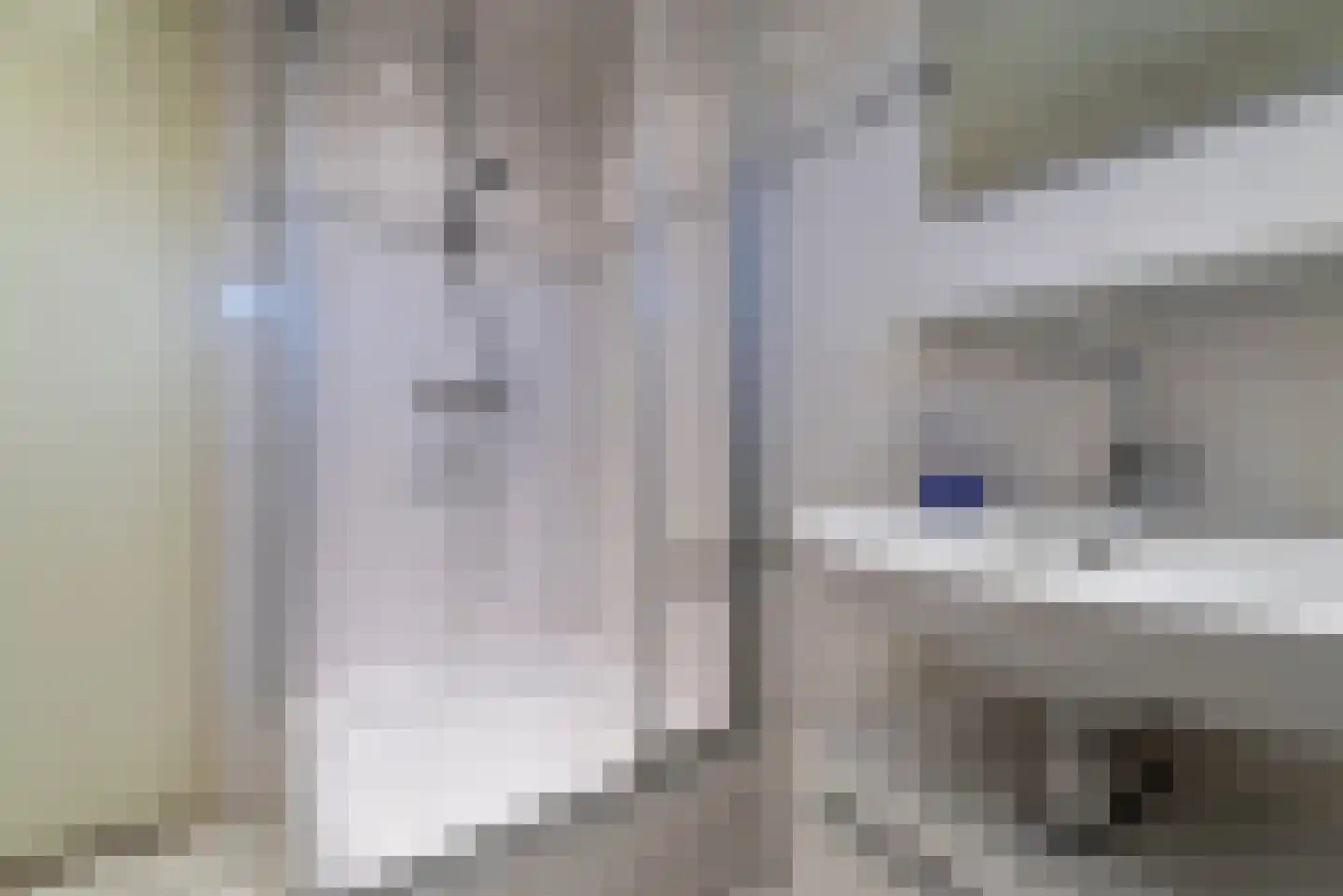 Vliegezwam 96 Veenendaal thumbnail 21