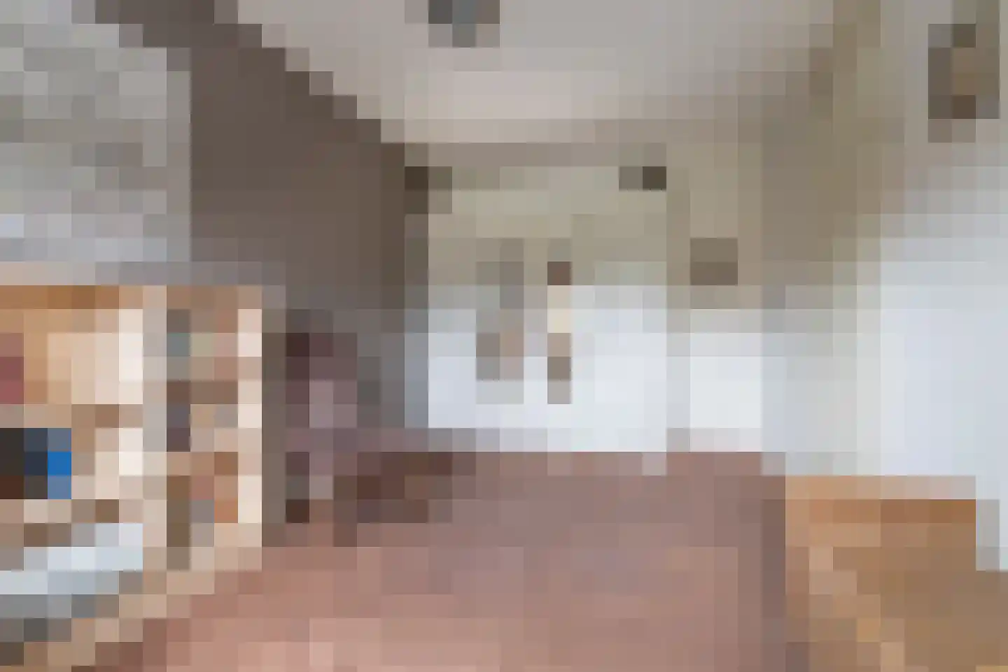 Vliegezwam 96 Veenendaal thumbnail 24