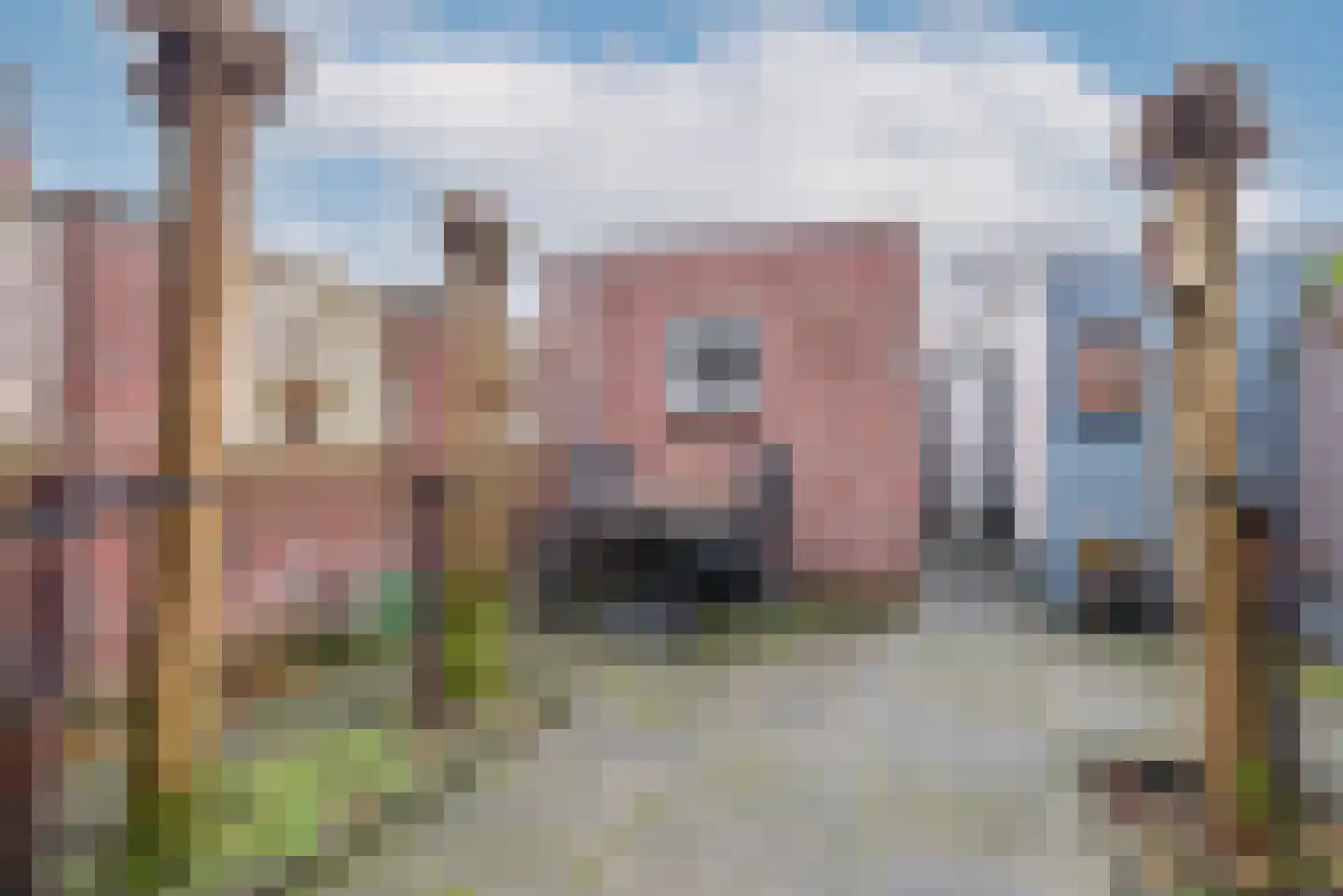 Vliegezwam 96 Veenendaal thumbnail 29
