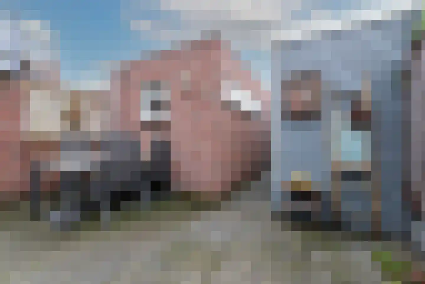 Vliegezwam 96 Veenendaal thumbnail 30