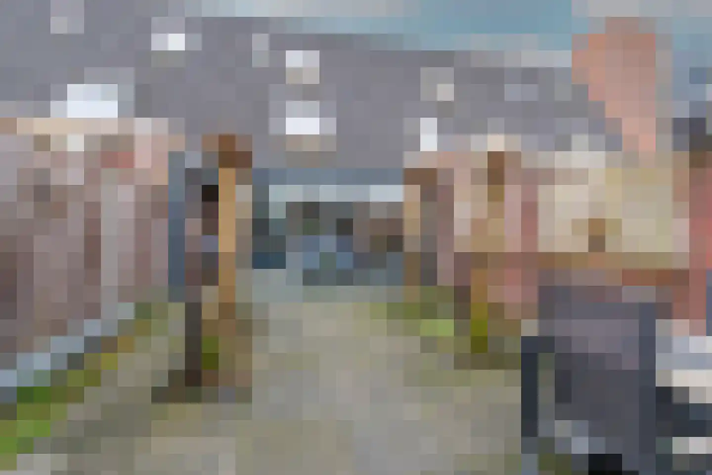 Vliegezwam 96 Veenendaal thumbnail 33