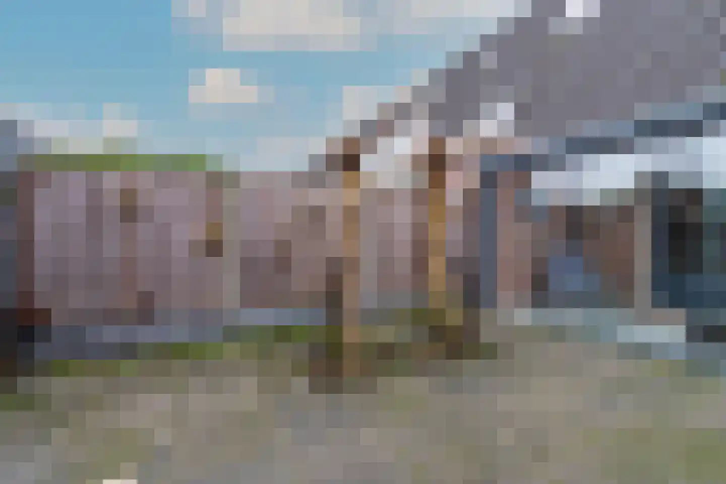 Vliegezwam 96 Veenendaal thumbnail 34