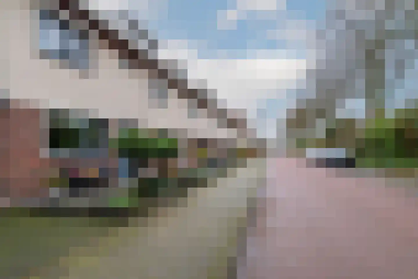 Vliegezwam 96 Veenendaal thumbnail 4