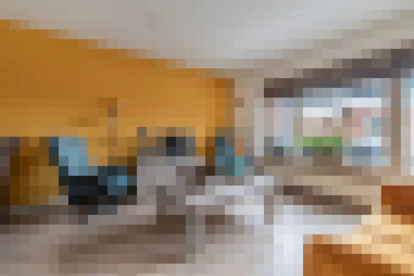 Vliegezwam 96 Veenendaal thumbnail 8