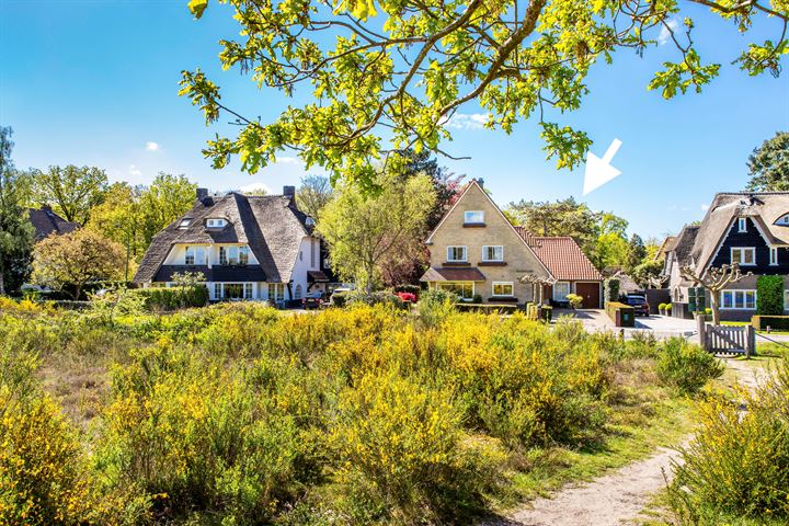 Vliegheiweg 21 en Huizen foto