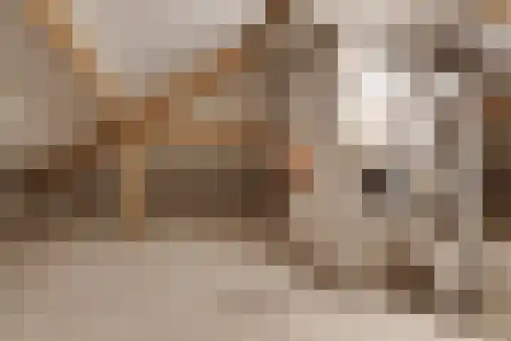 Vliegheuvel 19 Best thumbnail 13