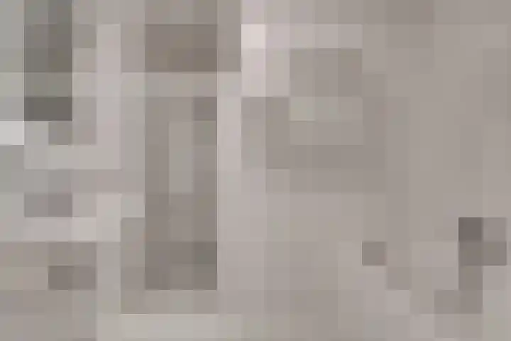 Vliegheuvel 19 Best thumbnail 23