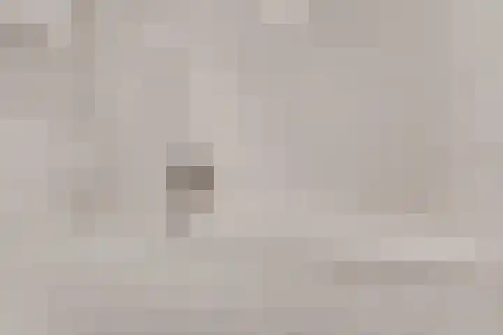 Vliegheuvel 19 Best thumbnail 26