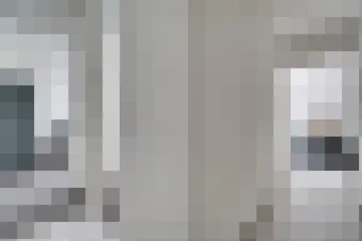 Vliegheuvel 19 Best thumbnail 28
