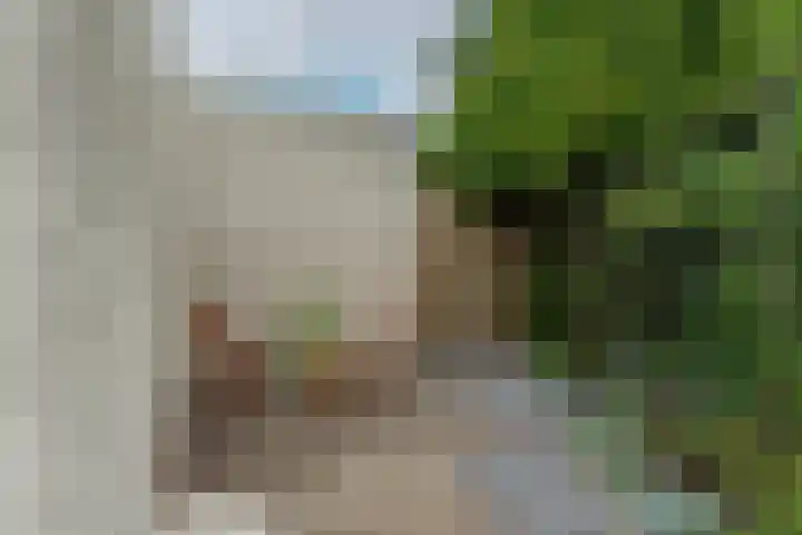 Vliegheuvel 19 Best thumbnail 33