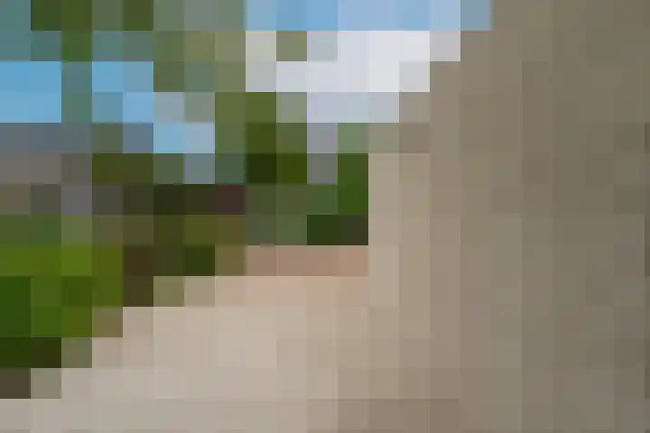 Vliegheuvel 19 Best thumbnail 36