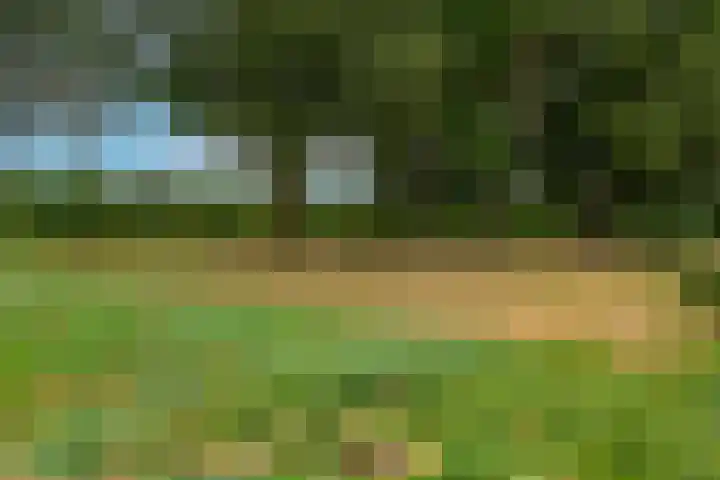 Vliegheuvel 19 Best thumbnail 38