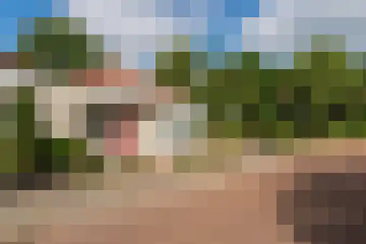 Vliegheuvel 19 Best thumbnail 5