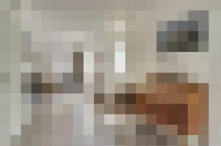 Vliegheuvel 9 Best thumbnail 16