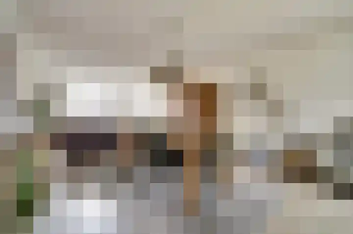 Vliegheuvel 9 Best foto 2