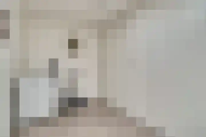 Vliegheuvel 9 Best thumbnail 22