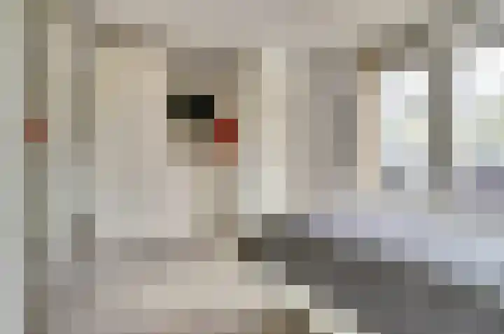 Vliegheuvel 9 Best thumbnail 24