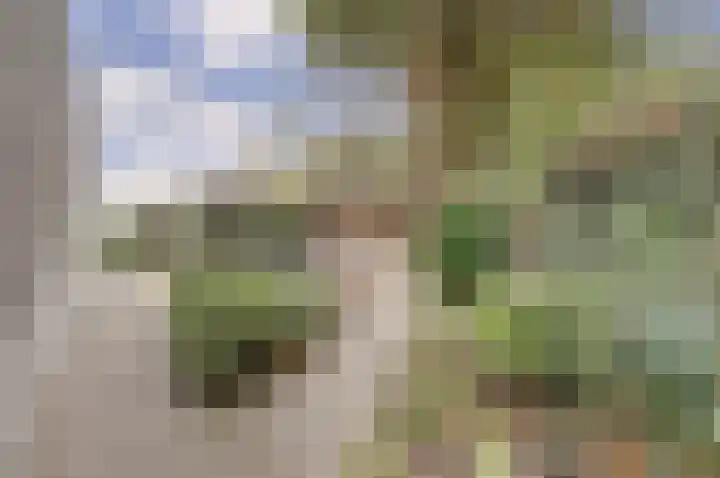 Vliegheuvel 9 Best thumbnail 27