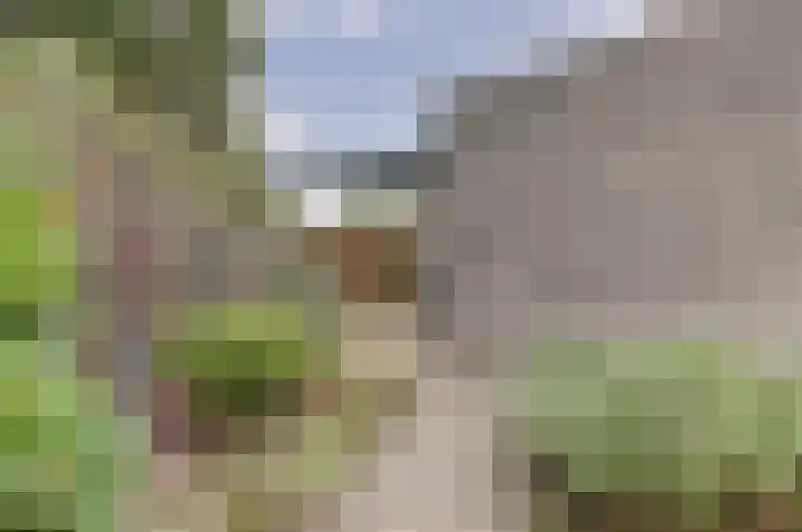 Vliegheuvel 9 Best thumbnail 28