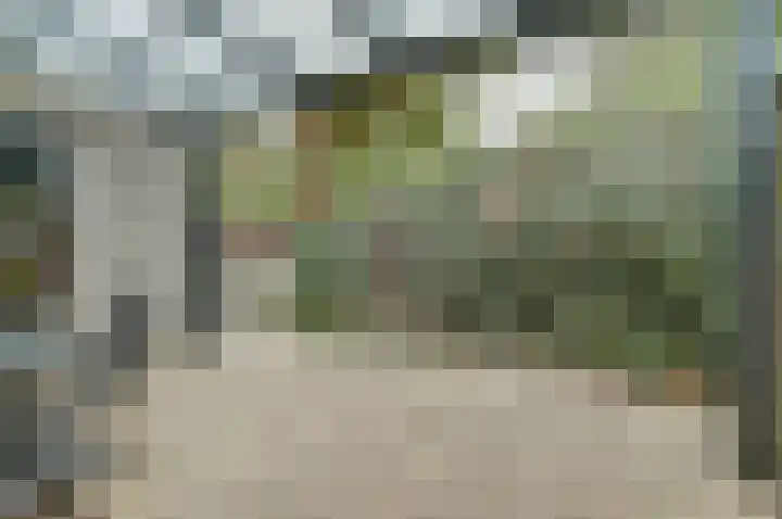Vliegheuvel 9 Best thumbnail 29