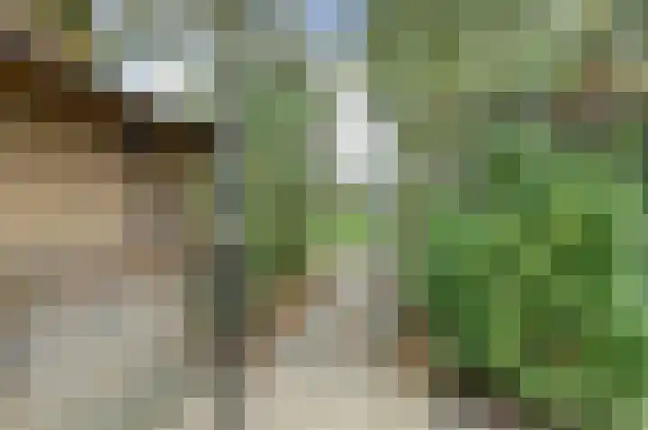 Vliegheuvel 9 Best thumbnail 32