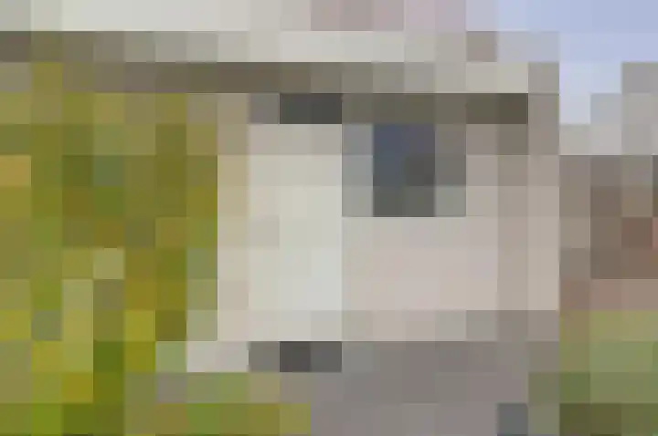 Vliegheuvel 9 Best thumbnail 33