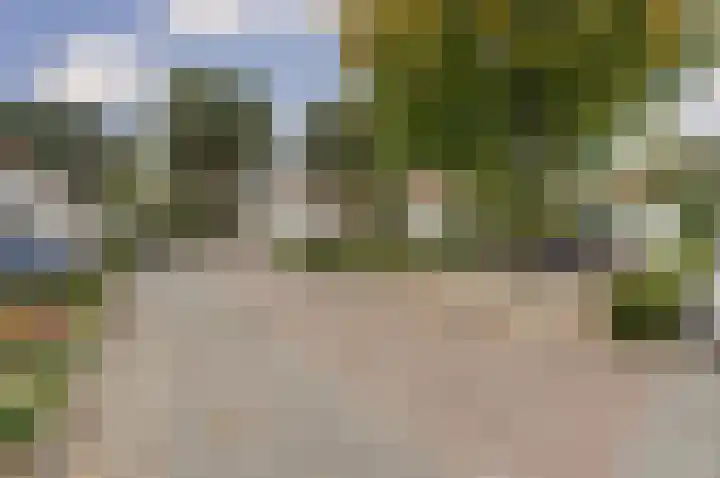 Vliegheuvel 9 Best thumbnail 35