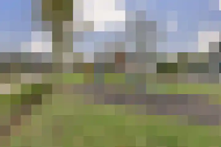 Vliegheuvel 9 Best thumbnail 36