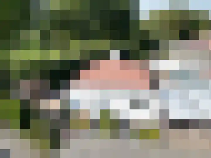 Vliegheuvel 9 Best thumbnail 41