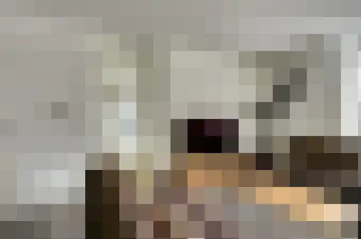 Vliegheuvel 9 Best thumbnail 5