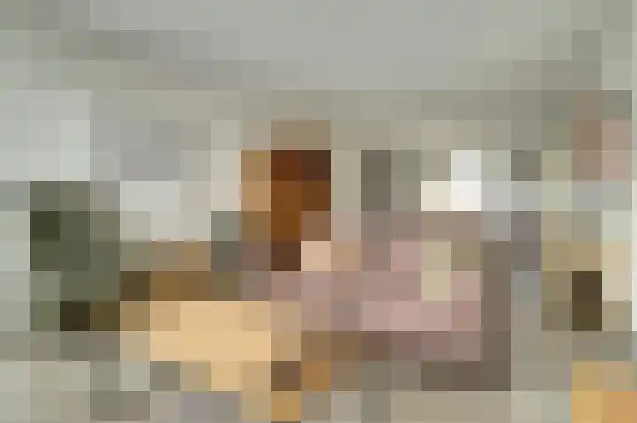 Vliegheuvel 9 Best thumbnail 6