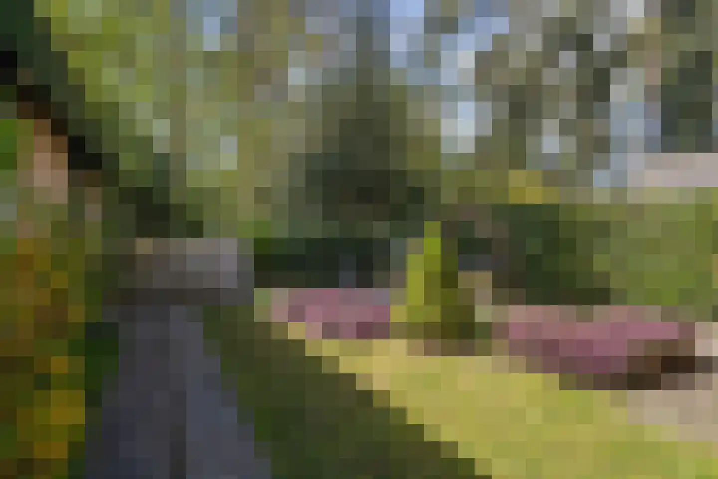 Vliegtuiglaan 4 Soesterberg thumbnail 42