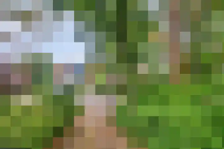 Vliegtuiglaan 54 Soesterberg thumbnail 30