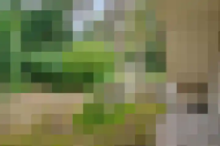 Vliegtuiglaan 54 Soesterberg thumbnail 38