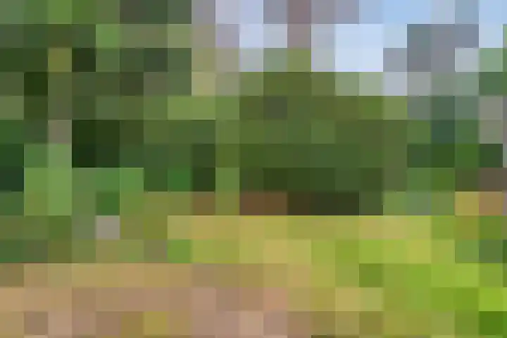 Vliegtuiglaan 54 Soesterberg thumbnail 40