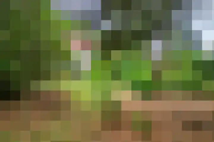 Vliegtuiglaan 54 Soesterberg thumbnail 42