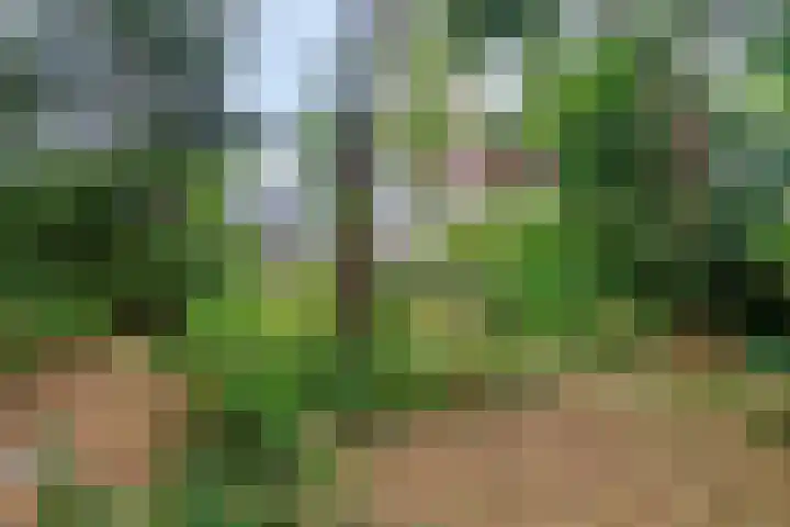 Vliegtuiglaan 54 Soesterberg thumbnail 45