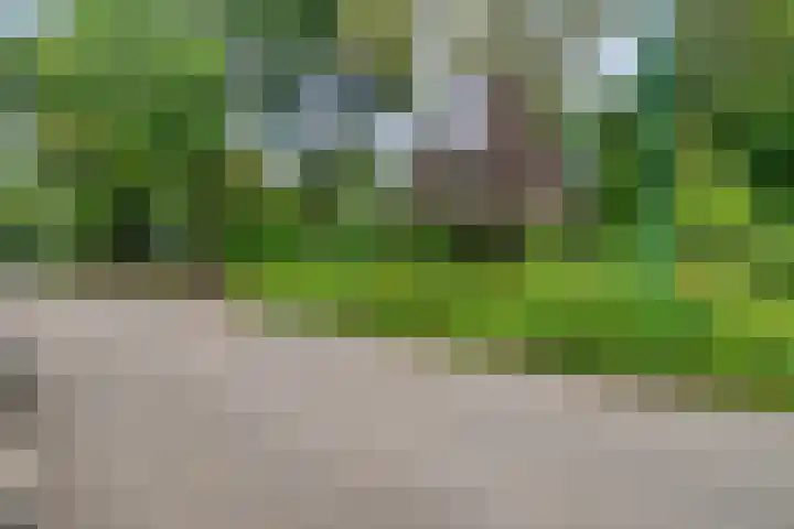 Vliegtuiglaan 54 Soesterberg thumbnail 48