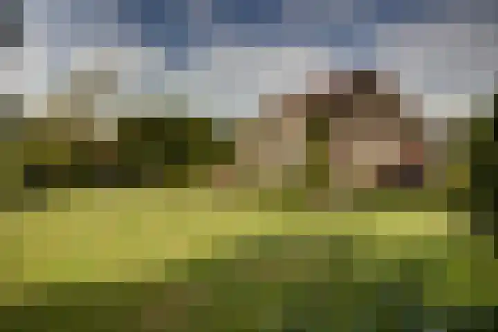 Vliegtuigweg 5 Nagele thumbnail 19