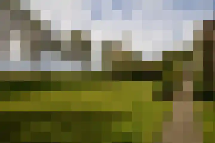 Vliegtuigweg 5 Nagele thumbnail 20
