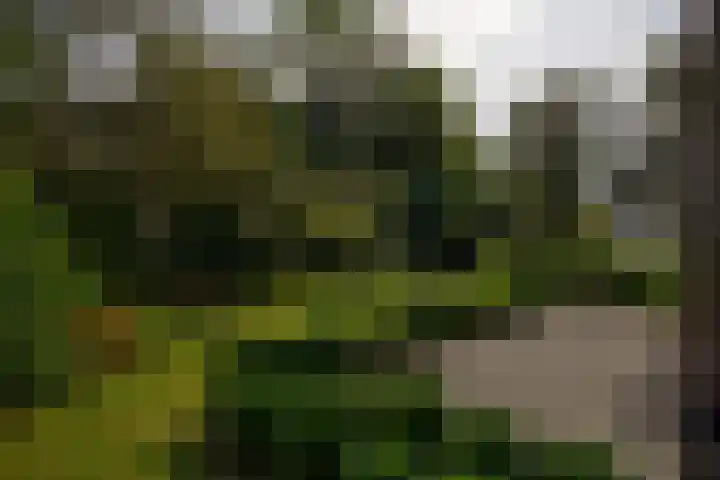 Vliegtuigweg 5 Nagele thumbnail 21
