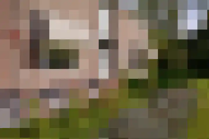 Vliegtuigweg 5 Nagele thumbnail 22