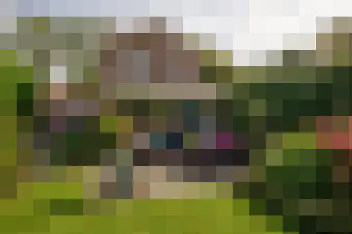 Vliegtuigweg 5 Nagele thumbnail 23