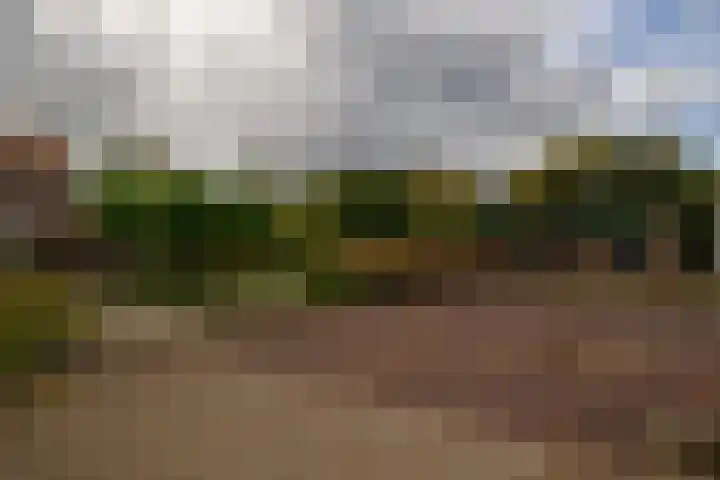 Vliegtuigweg 5 Nagele thumbnail 24